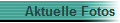 Aktuelle Fotos