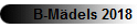 B-Mdels 2018