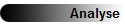 Analyse