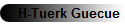 H-Tuerk Guecue