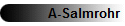 A-Salmrohr