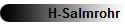 H-Salmrohr