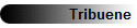 Tribuene